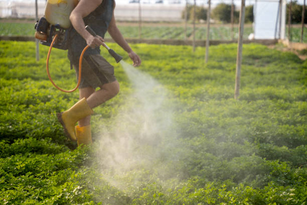 Pest Control for Restaurants in Cibolo, TX