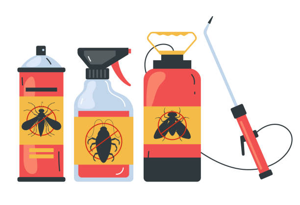 Reliable Cibolo, TX Pest Control Solutions