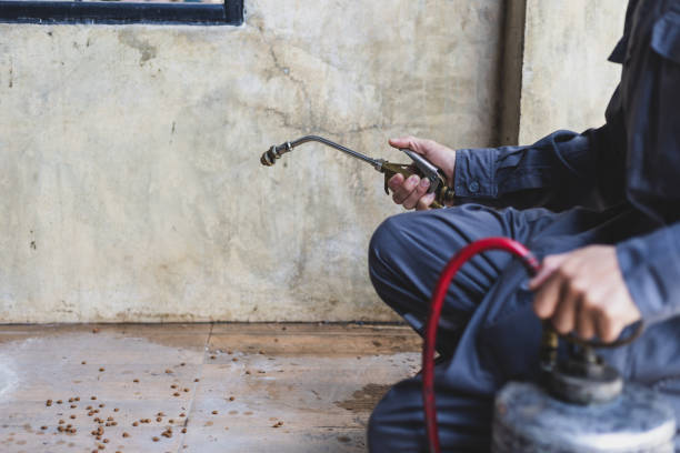 Best Pest Control for Restaurants  in Cibolo, TX