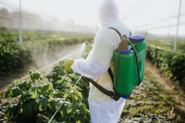 Best Best Pest Control Companies  in Cibolo, TX